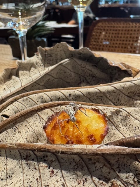 D.O.M: 2 estrelas michelin em São Paulo