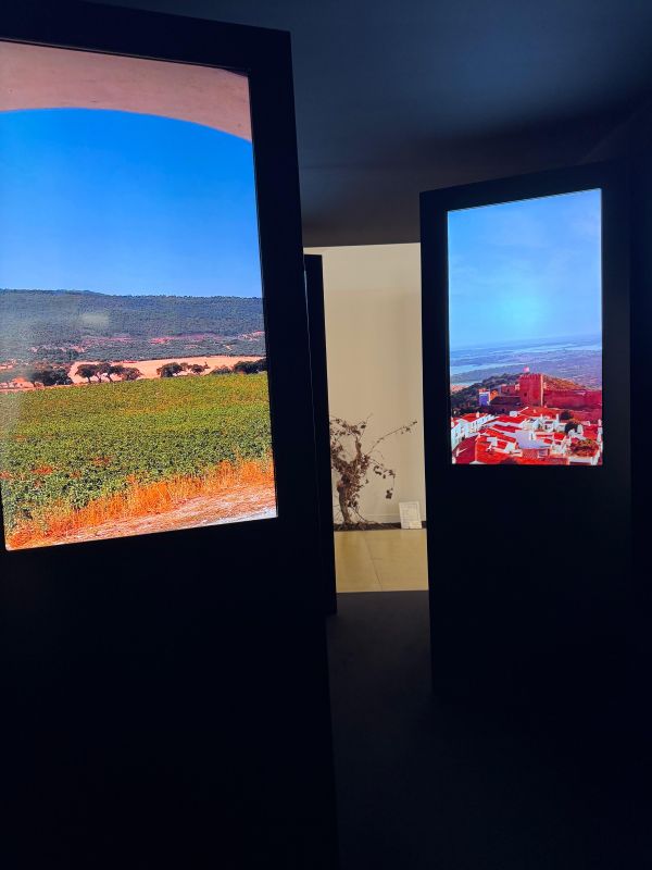 museu do vinho em Alantejo, Portugal