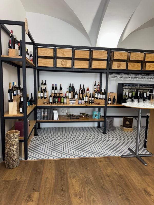 rota dos vinhos em portugal