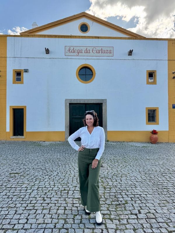 Adega para encantar os que amam vinhos