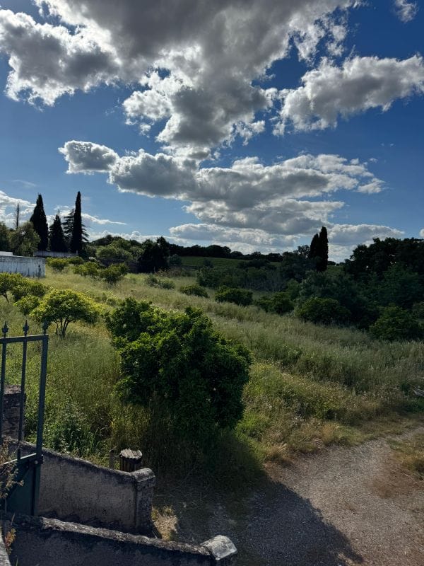 Vasto vinhedo com linda vista da Cartuxa