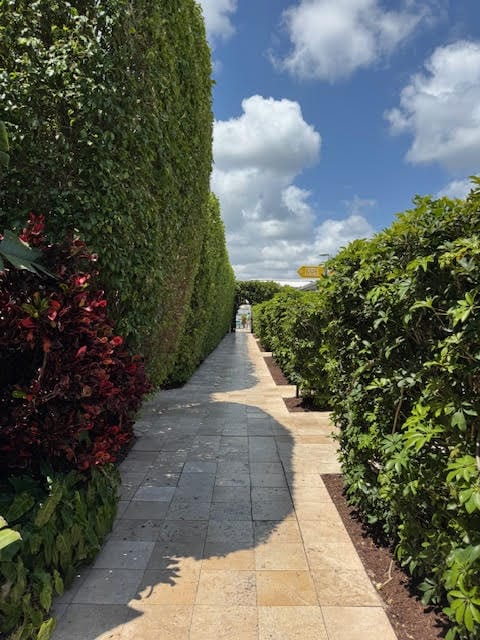 jardins do standard miami