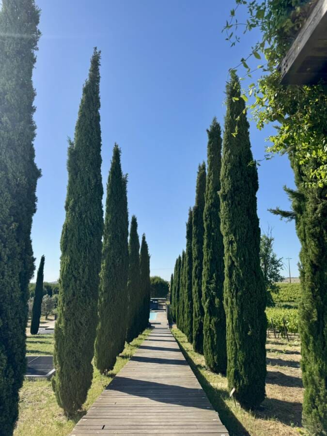 hotel de luxo em alantejo