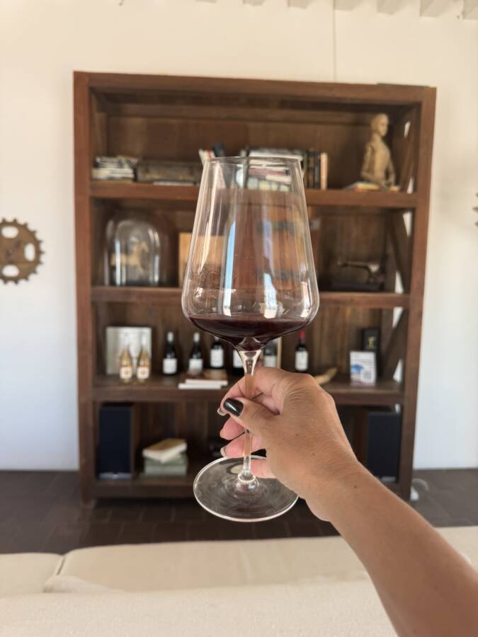 adega do hotel torre de palma wine