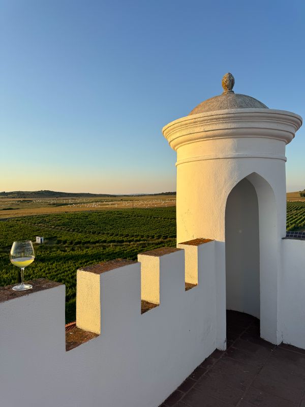 torre de palma