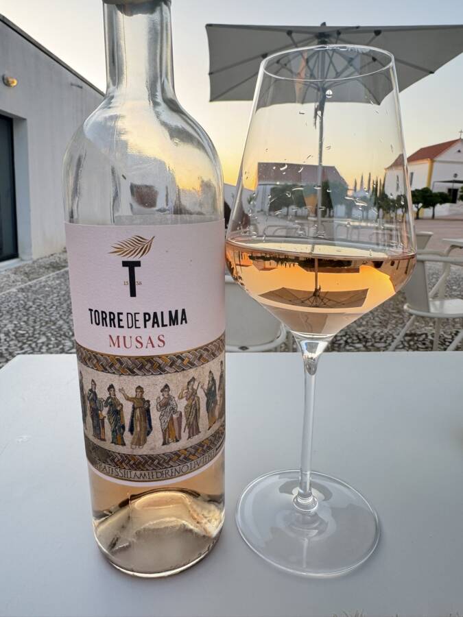 palma gastronomia