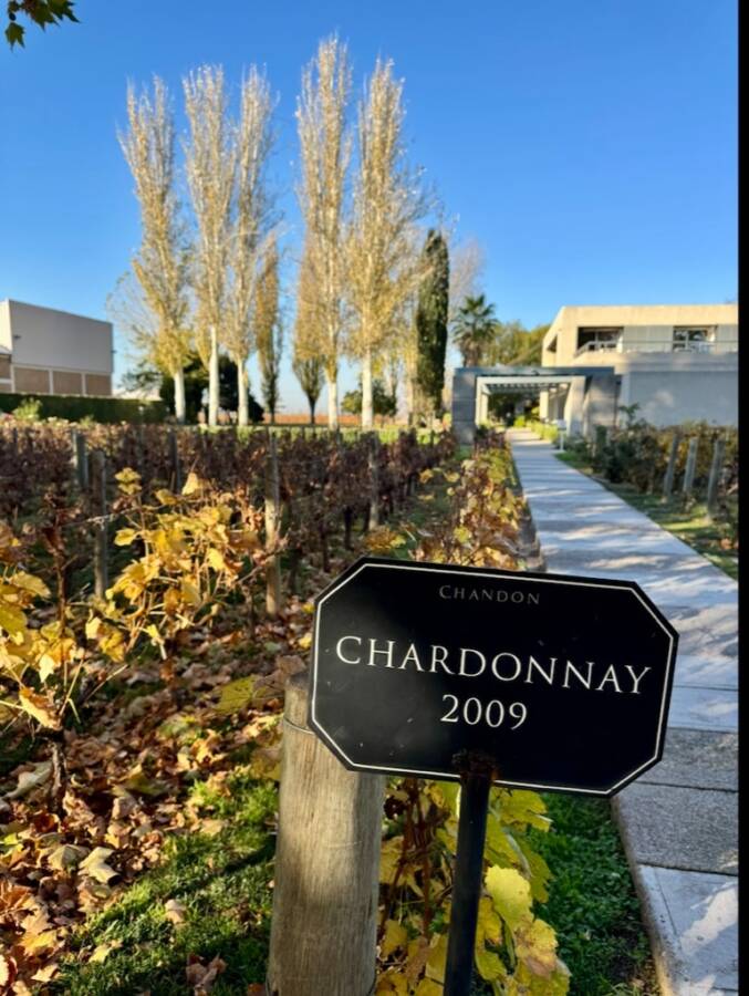 Chandon em Mendoza