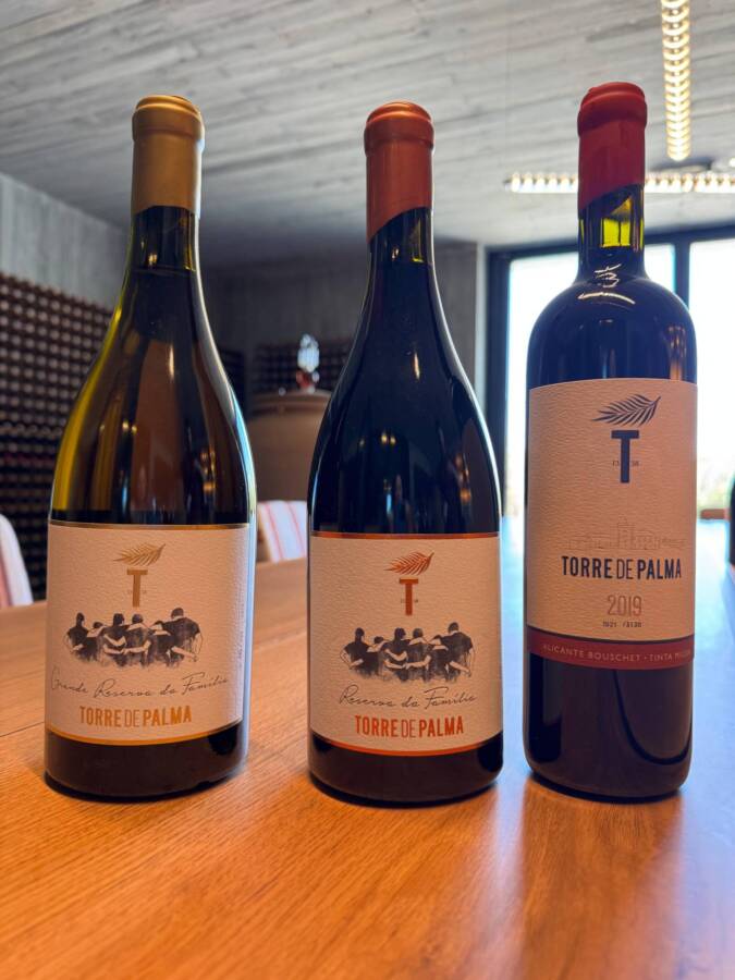 adega do hotel torre de palma wine