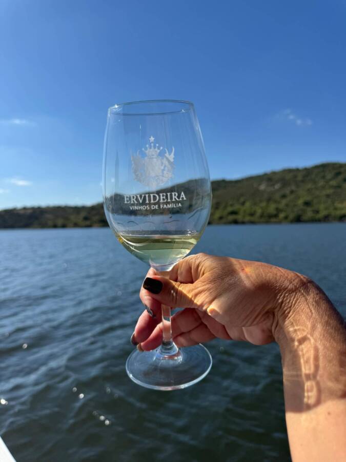 Diversos vinhos para experimentar