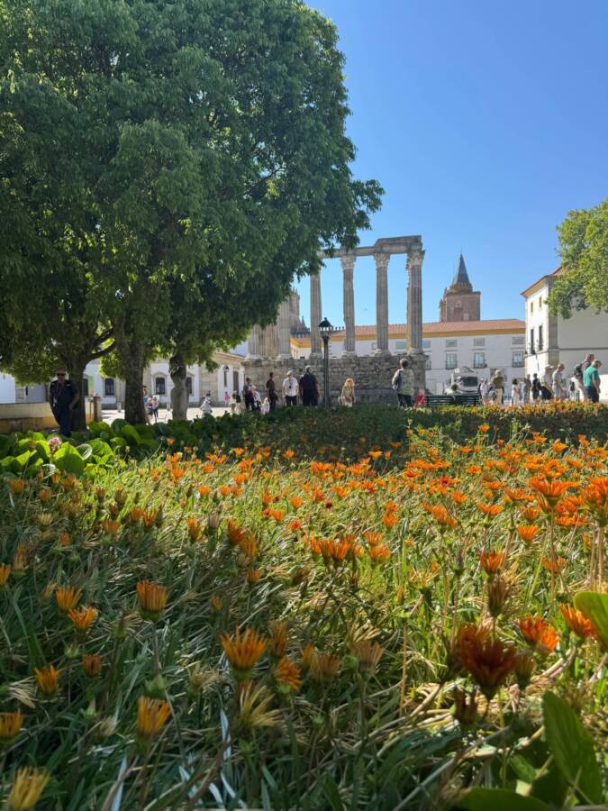 Nos arredores do templo você encontra o jardim