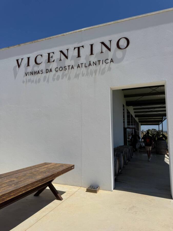 Projeto Vicentino