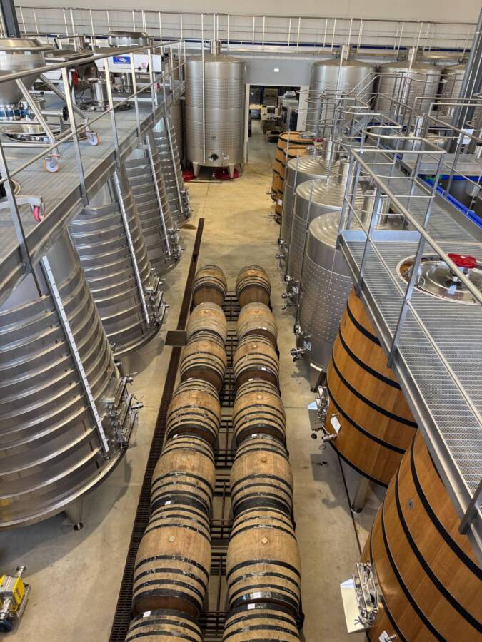 Barris de vinho do projeto em Alentejo