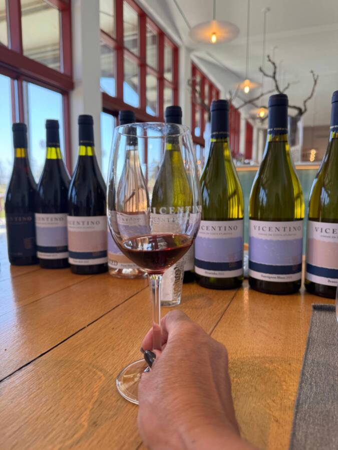 Degustação de vinhos no projeto