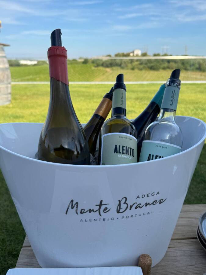 Vinhos monte branco para degustação