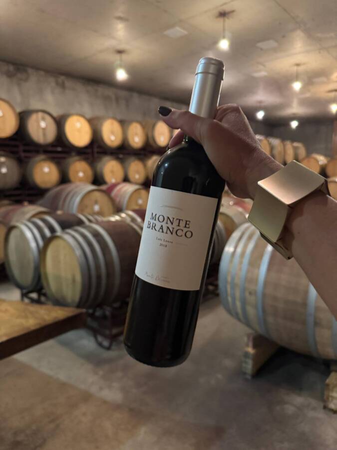 Vinhos para encerrar a experiência na adega