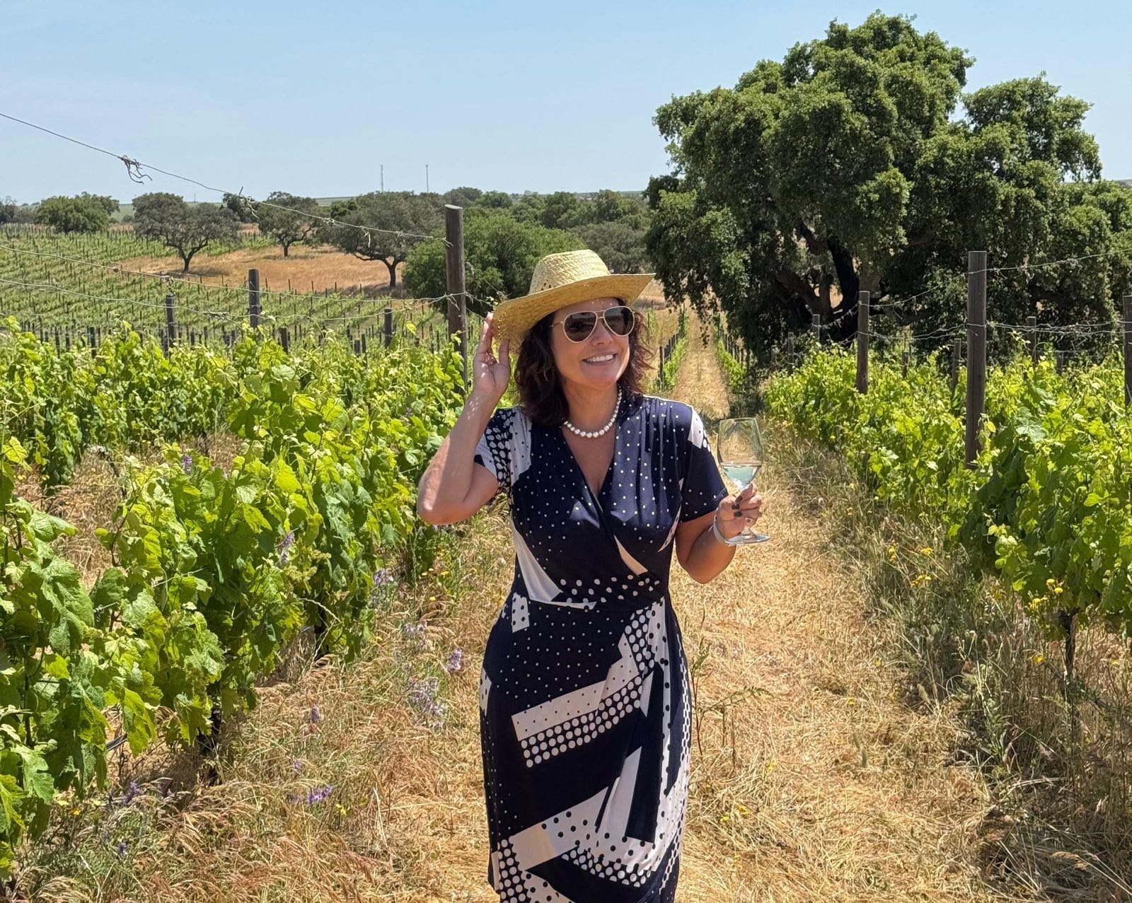 O melhor do Enoturismo no Alentejo: Vinícolas, Hotéis e Experiências que seduzem os viajantes
