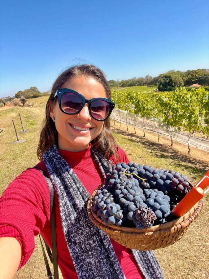 Enoturismo em Minas Gerais