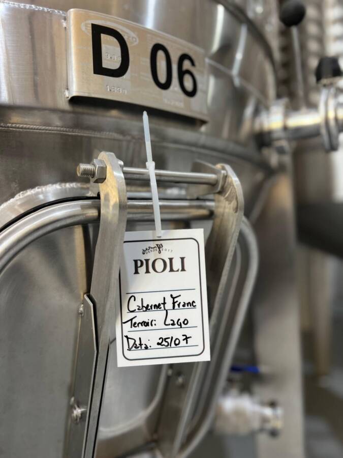 Vinícola Pioli