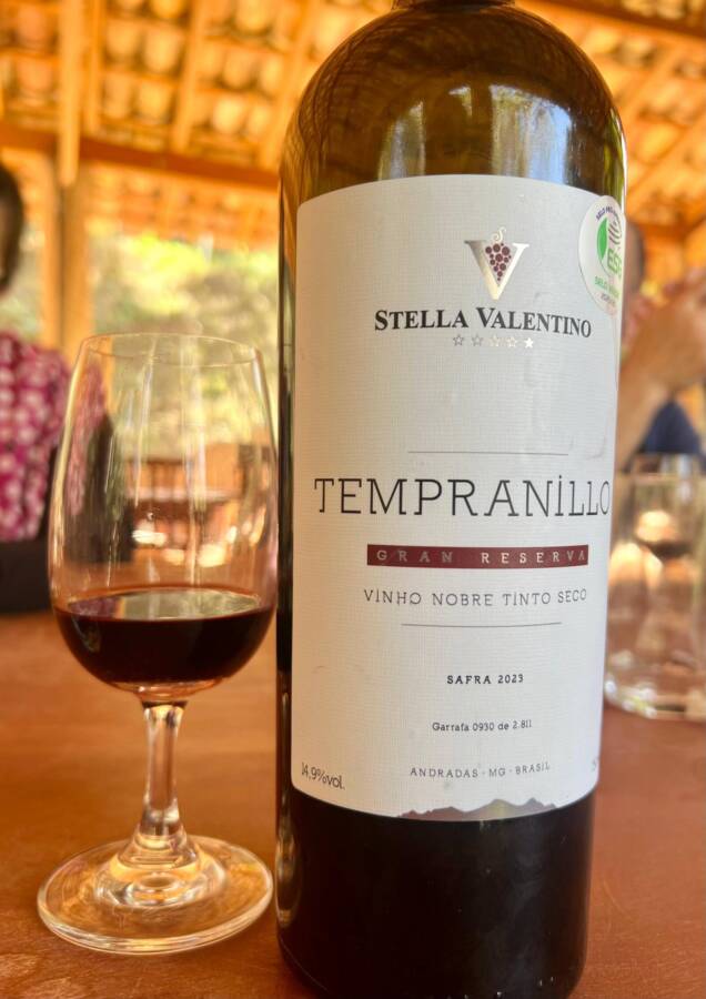 Vinícola Stella Valentino