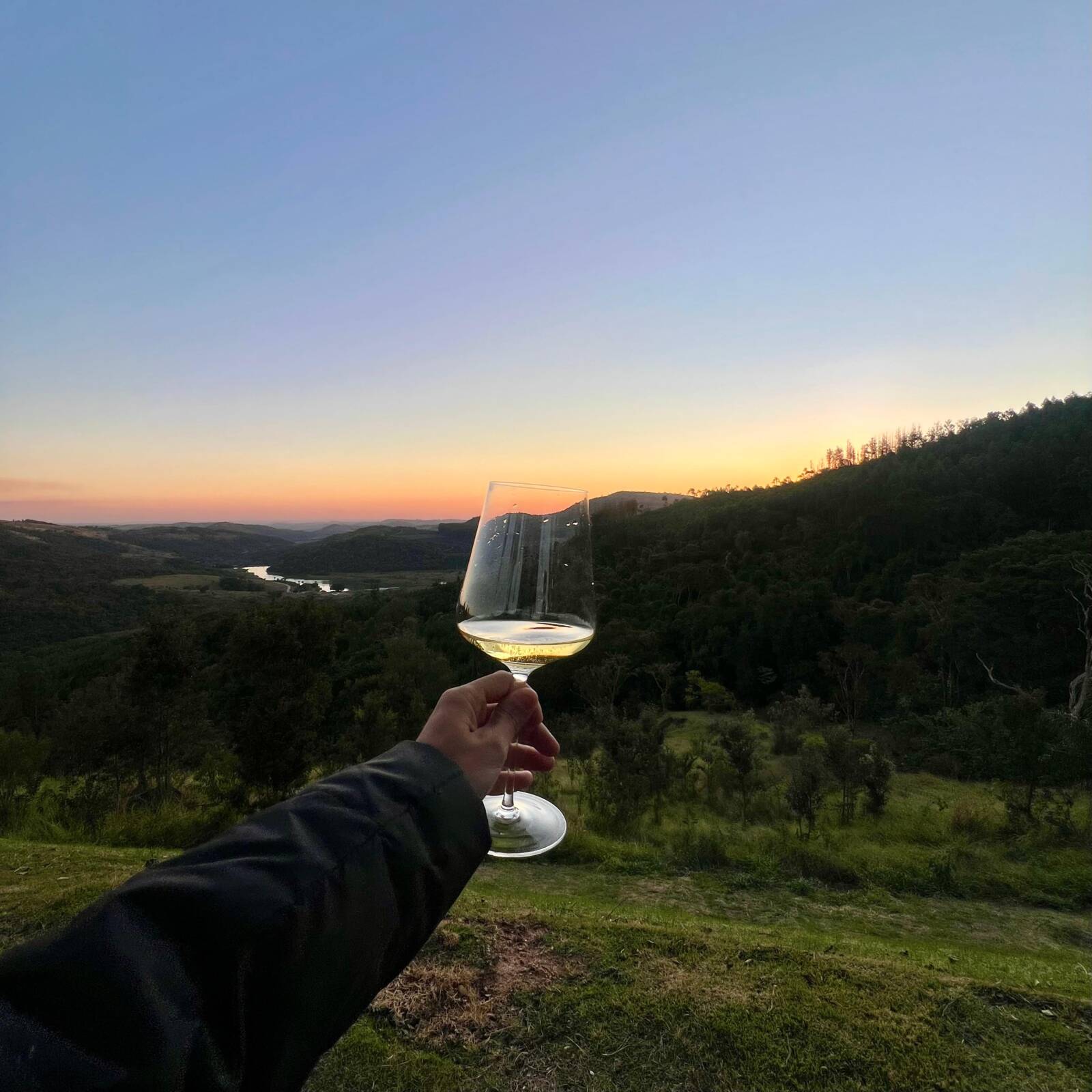 Enoturismo na Serra da Mantiqueira: 9 Vinícolas a duas horas de São Paulo