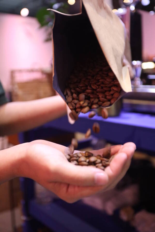 Rio Coffee Nation