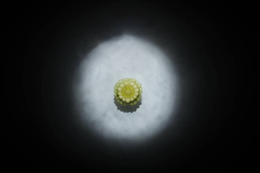 Gaggan
