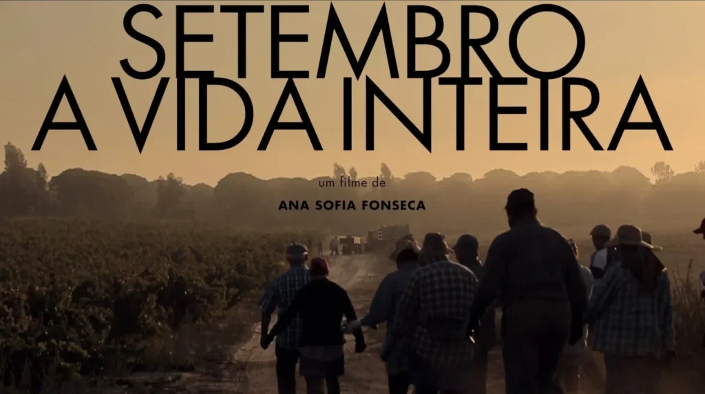 Filmes e séries para quem gosta de vinho