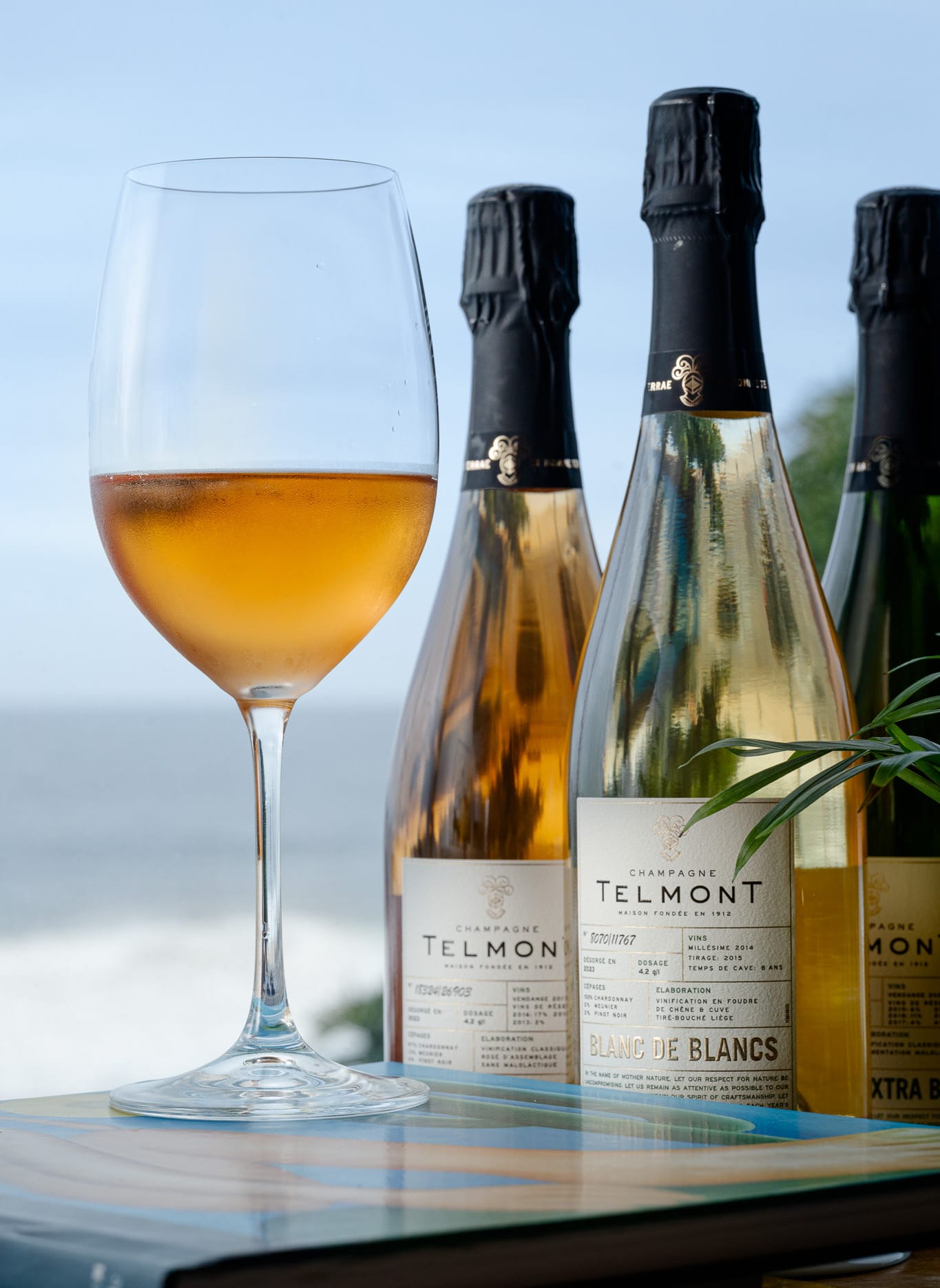 Maison Telmont: o champagne mais sustentável do mundo — à mesa, no Rio