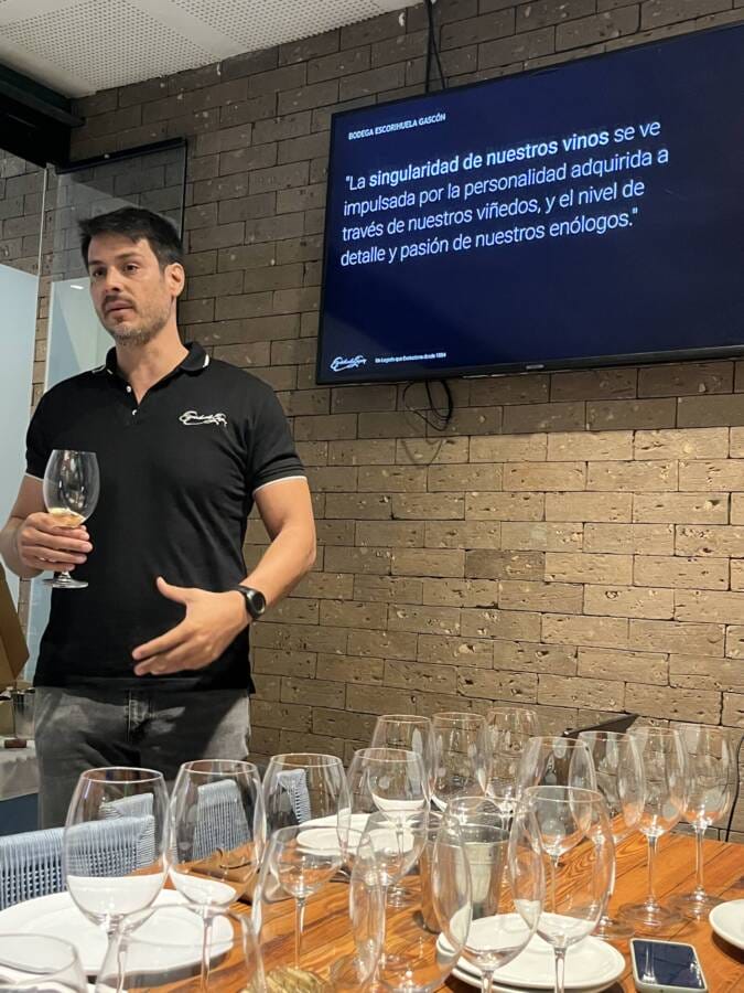 Lançamento do Sauvignon Blanc no Brasil