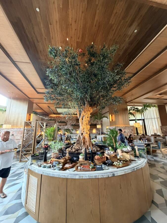 hotel de luxo em punta cana